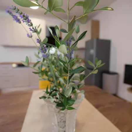 Garina Ii Apartment
